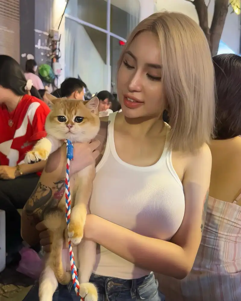Những Góc Nhìn Đa Chiều Về Hiện Tượng Chibi1311
